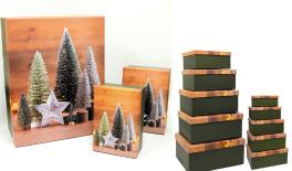 D10-31 Christmas tree paper box set/10 0530107