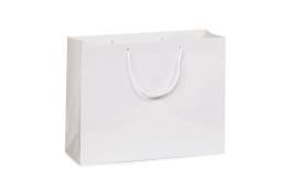 230G white paper bag size:19.5*25*9.5 0402162