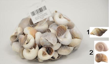 QF18A018 Natural snail decoration 0.5kg 0513017