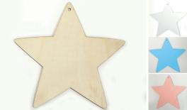 24CM star thickness:5mm with 4.5mm hole 0519610